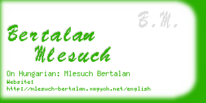 bertalan mlesuch business card